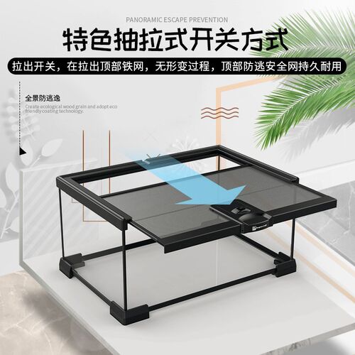 BG蜘蛛蝎子饲养箱生态雨林造景玻璃爬宠饲养缸螳螂甲虫昆虫饲养盒