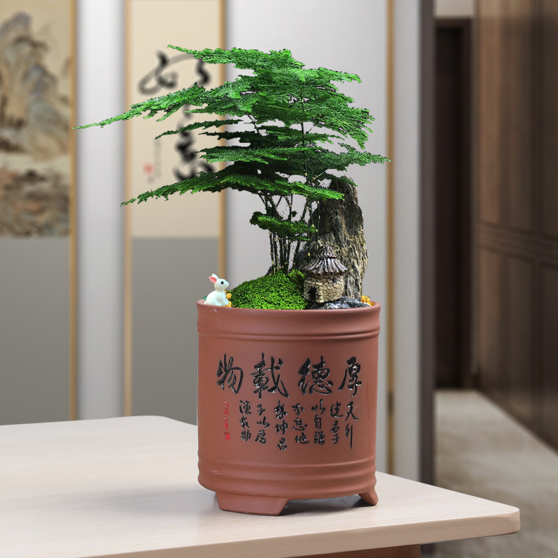 紫砂兰花花盆复古粗陶透气个性创花盆