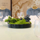 酒店圆桌转盘餐桌花摆花高端高档仿真苔藓绿植包厢中间摆件装 饰