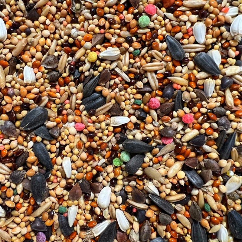 虎皮牡丹玄凤中小型鹦鹉营养鸟食营养五色黍子混合粮谷子1斤真空,宠物/宠物食品及用品,鸟玩具,淘宝优惠券,粉丝福利购,淘宝优惠卷