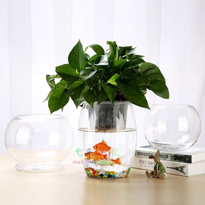 水培植物玻璃瓶 花盆绿萝透明花瓶鱼缸水培玻璃水养植物容器