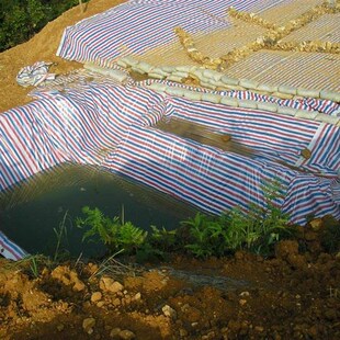 普通料彩条布/加厚料彩条布 三色布防雨防晒布塑料彩条布打孔打扣