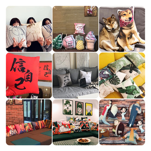 书还是看少了圆形抱枕沙发客厅手绘小清晰猫咪枕头办公室午睡靠垫