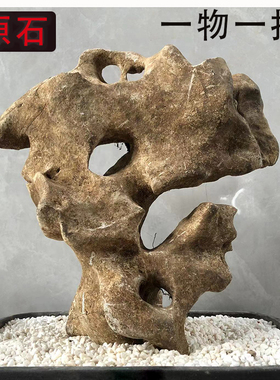 太湖石天然原石奇石鱼缸摆件假山石头景观石盆景园林灵璧石观赏石