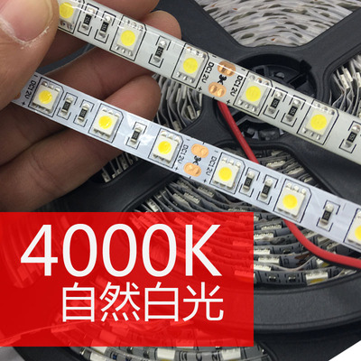 led灯带灯条12V5050贴片4000K4500k自然白中性光24V柜台装修防水
