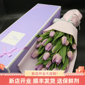 郁金香鲜花云南直发斗南基地花束花卉花花瓶插花鲜切花水养水培