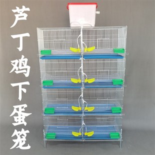 芦丁鸡下蛋笼镀锌铁丝网饲养笼自动饮水滚蛋清粪小鸡笼家用养殖笼
