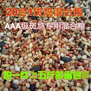 魔术鸽五谷杂粮竹鸡食物仓鼠斑鸠粮鸽粮山鸡鹧鸪粮观赏鸡饲料鸟食