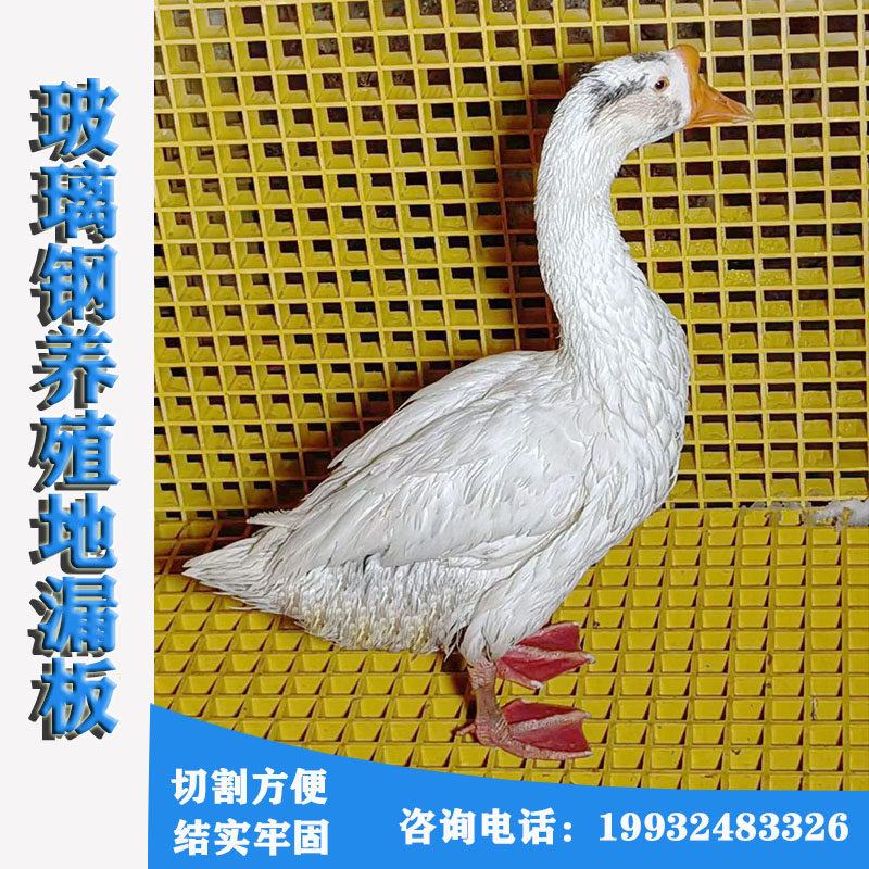 玻璃钢养殖漏粪地漏板光伏平台走道洗车房排水防滑格栅板树池篦子,基础建材,玻璃钢格栅板,淘宝优惠券,粉丝福利购,淘宝优惠卷