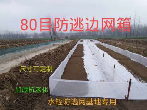 80目网箱养殖网防逃网 水蛭龙虾泥鳅黄鳝鱼苗幼苗 加厚网孵化苗定