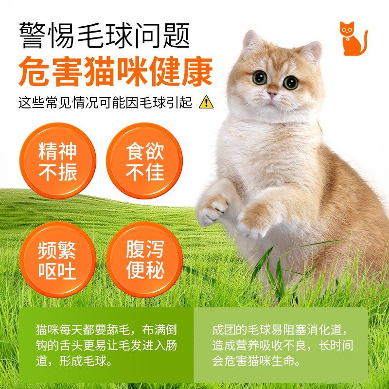 猫草片猫咪化毛球片猫咪专用化毛膏吐毛球化毛球片猫草粒排毛猫用,宠物/宠物食品及用品,猫化毛膏/化毛球片,淘宝优惠券,粉丝福利购,淘宝优惠卷