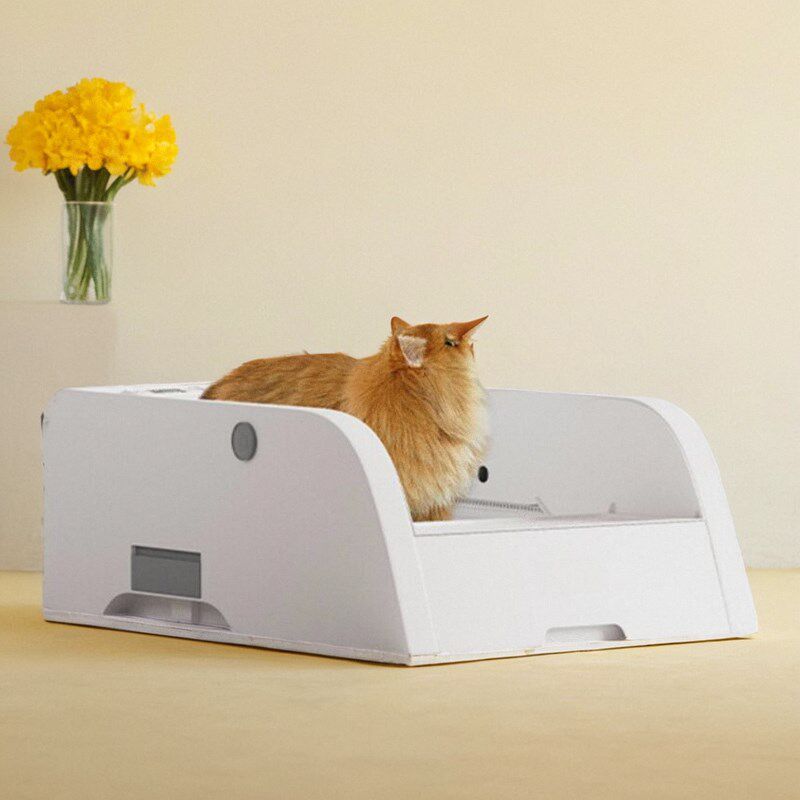 全自动智能猫砂盆宠物监控摄像机开放式电动猫厕所除臭杀菌铲屎机,宠物/宠物食品及用品,智能猫砂盆,淘宝优惠券,粉丝福利购,淘宝优惠卷