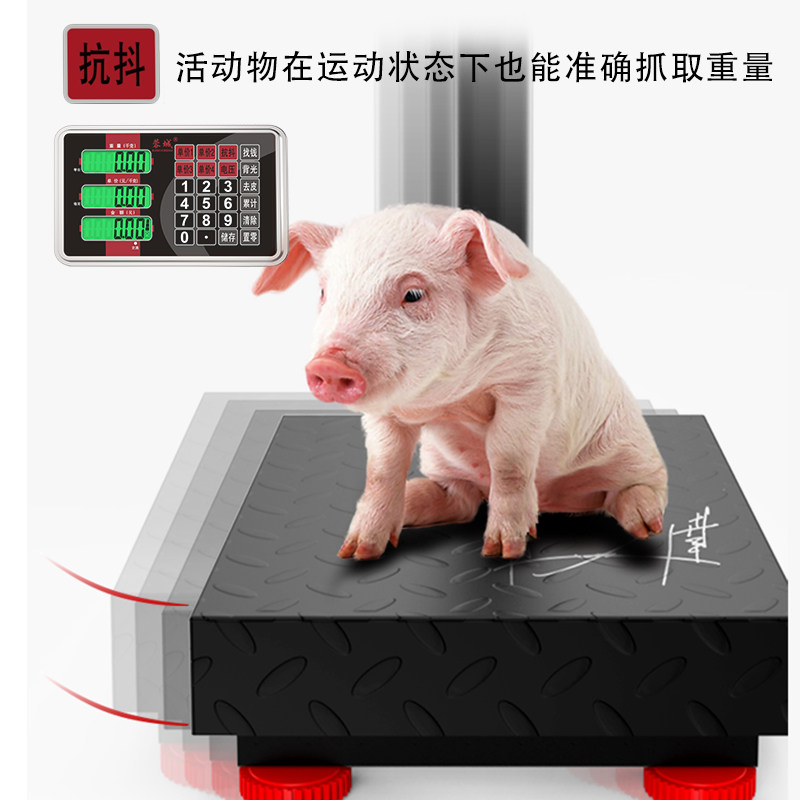 蓉城电子称商用台秤精准计价0.01称重家用100kg150公斤快递磅秤
