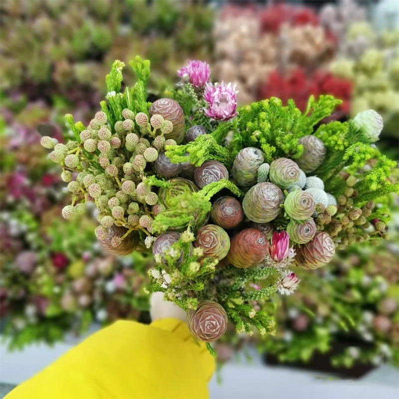 混搭果子鲜花花束云南直发室内水培新鲜绿植插花鲜切花果实水培