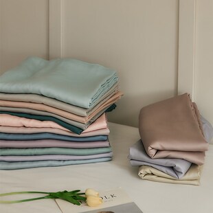 夏季 60支凉感冰丝100%莱赛尔纤维双人200x230被罩 天丝被套单件