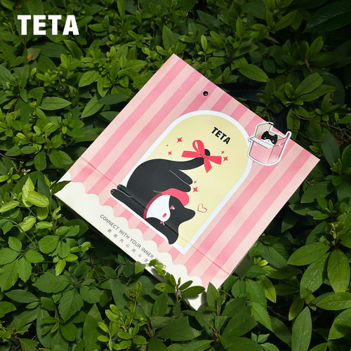 【测试连接勿拍】TETA猫咪背包购物袋礼品袋