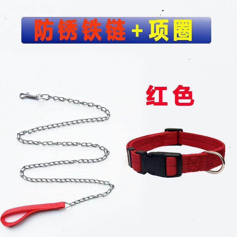 小鹿犬项圈泰迪小型犬防逃逸铁链项圈超长牵引绳猫咪防咬耐磨遛狗