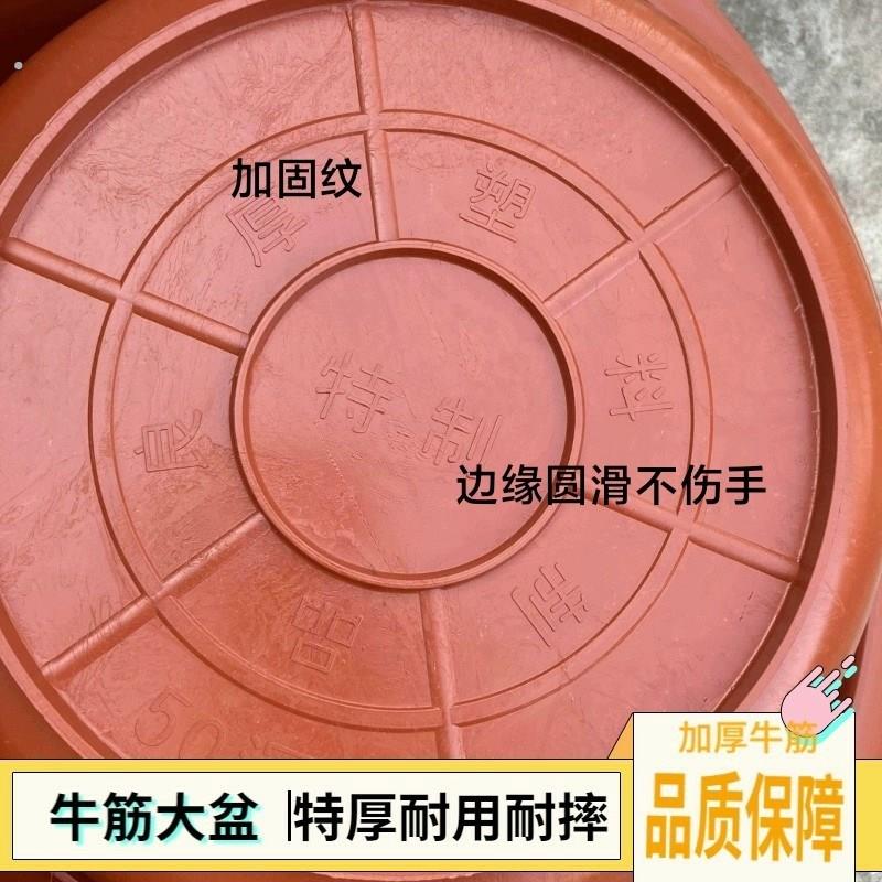 特厚牛筋盆超大红盆耐用耐摔洗脚盆洗衣盆洗被盆洗澡盆蓄水盆