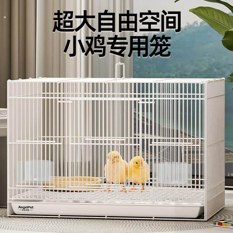 小鸡专用笼子鸭子芦丁鸡宠物家用饲养箱鸭子室内大号养殖外用笼子