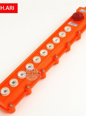 浙江天华 TNHA1-65H COB-65H 防水行车开关 起重按钮 10键