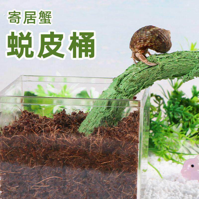 寄居蟹蜕皮缸内置迷你隔离桶防打扰爬宠助脱皮亚克力箱养蟹盒
