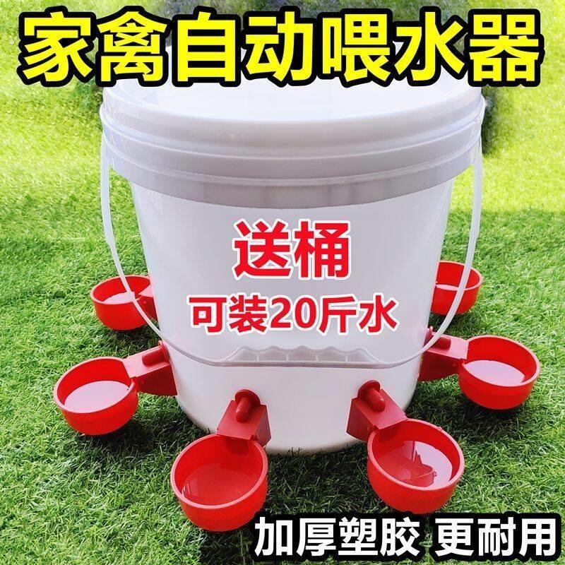 新款鸡鸭鹅饮水碗家禽全自动喂水器喂食神器鸟用鸽子养殖饮水器