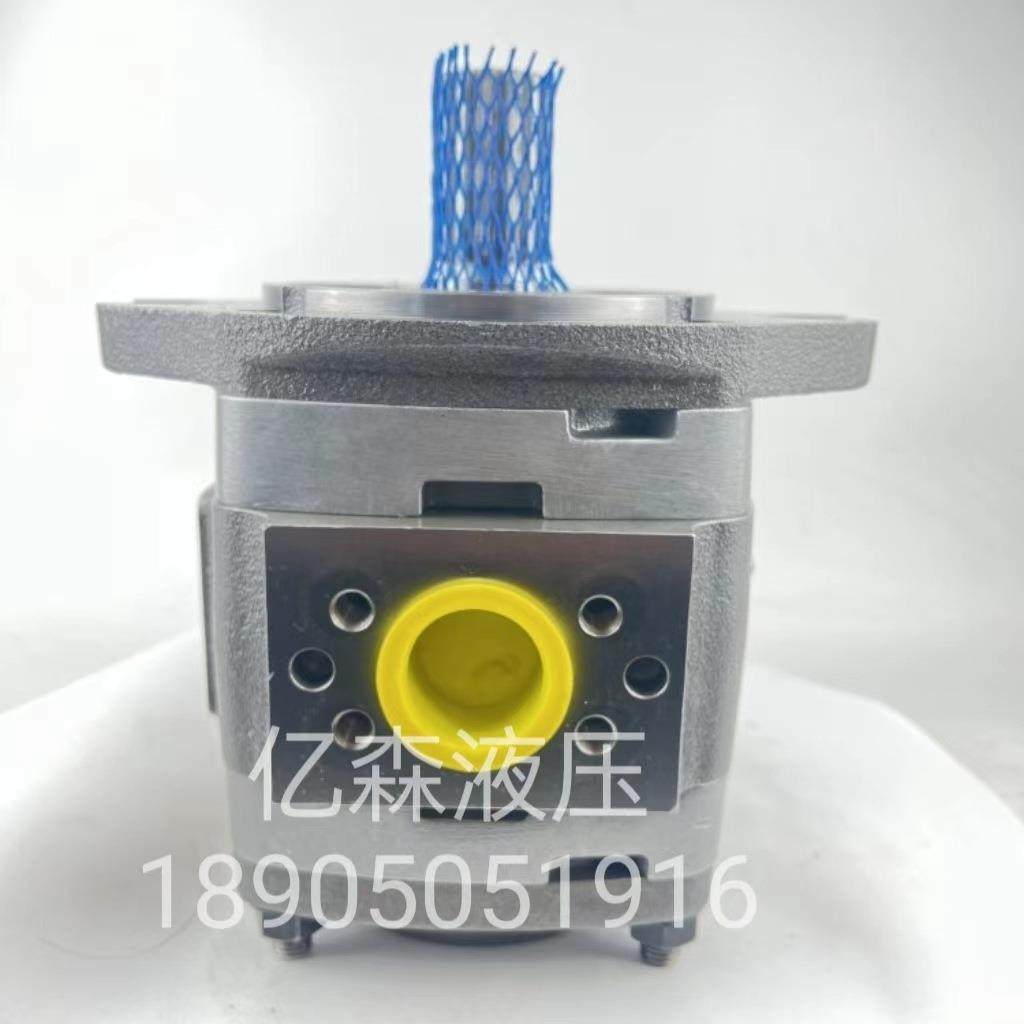 Voith福伊特齿轮泵IPV5-64-101 IPV5-50-101 IPV5-40-101质保一年,标准件/零部件/工业耗材,液压泵,淘宝优惠券,粉丝福利购,淘宝优惠卷