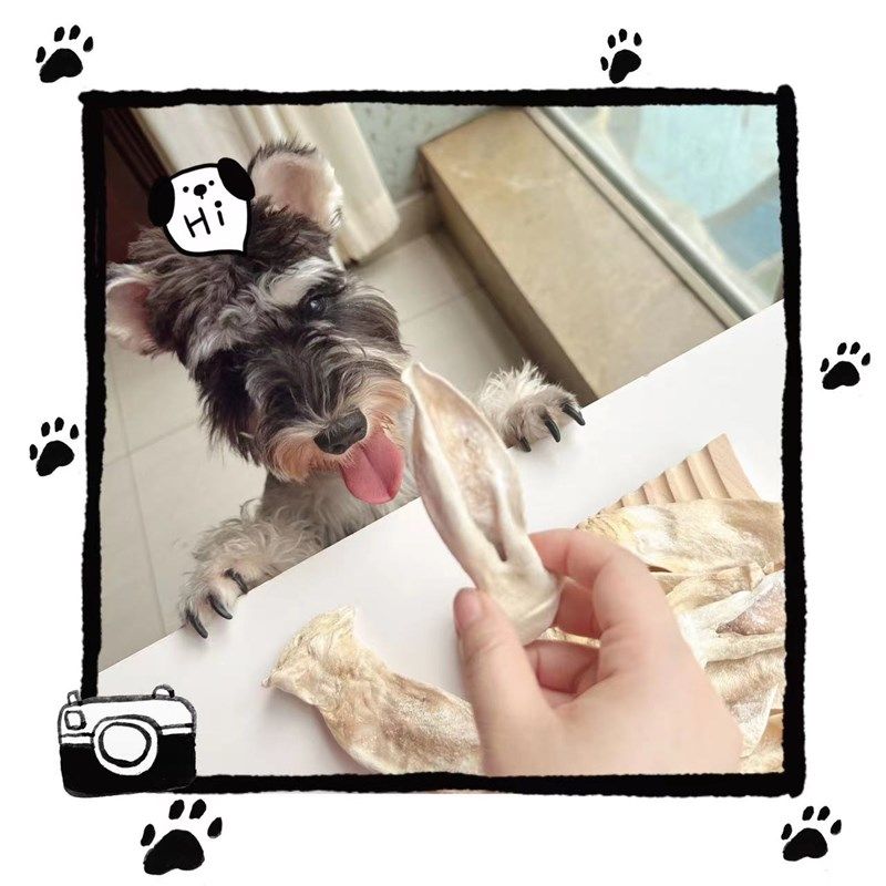 冻干兔耳朵猫咪冻干零食狗狗冻干零食宠物冻干零食兔耳朵零食磨牙,宠物/宠物食品及用品,狗冻干零食,淘宝优惠券,粉丝福利购,淘宝优惠卷