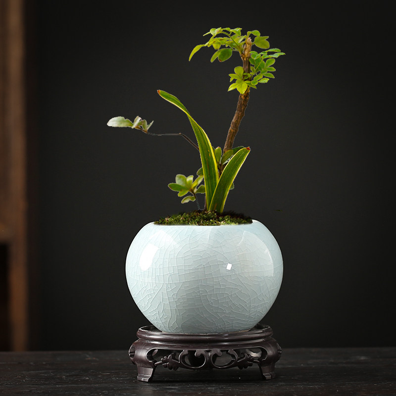 哥窑开片陶瓷花盆创意小叶紫檀文竹吊兰兰花盆景盆桌面小多肉花盆,鲜花速递/花卉仿真/绿植园艺,花盆,淘宝优惠券,粉丝福利购,淘宝优惠卷