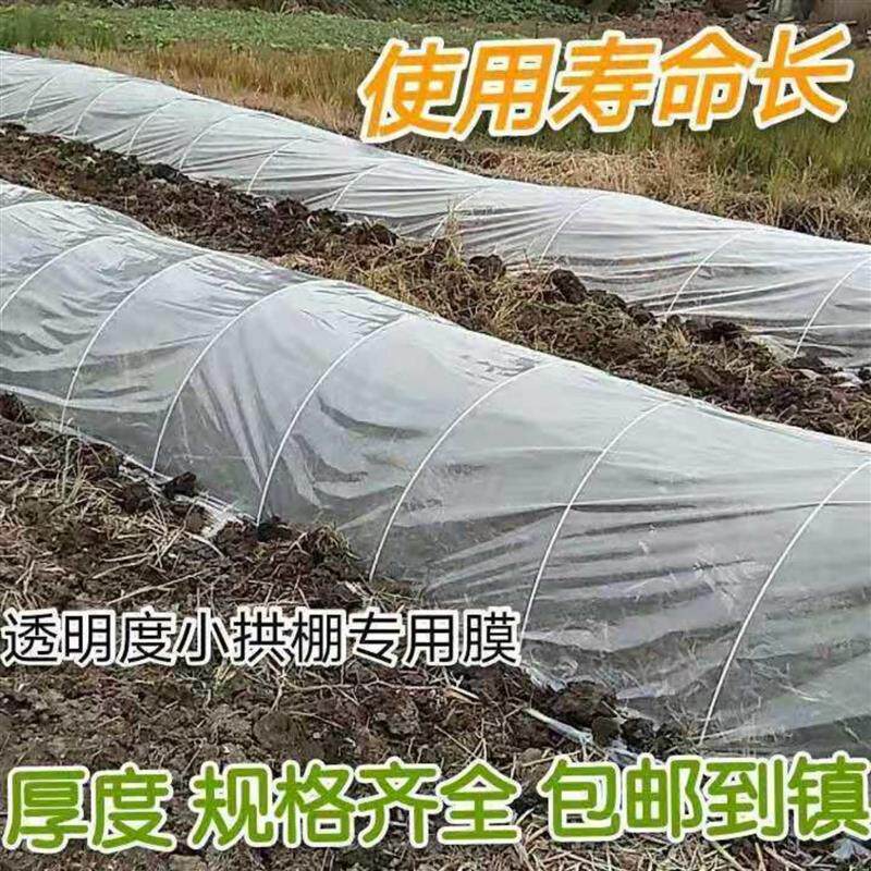 小拱棚育秧苗膜地膜农用白膜西瓜膜加厚种植保温薄膜塑料布大棚膜