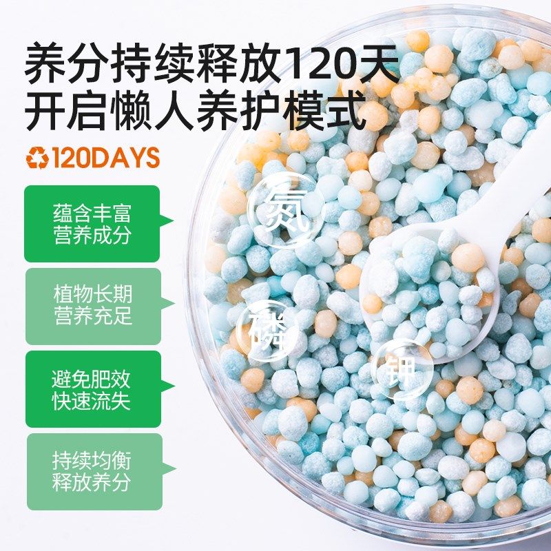 吊兰专用缓释肥控释颗粒家用金边养花肥料家庭园艺盆栽植物通用型,鲜花速递/花卉仿真/绿植园艺,家庭园艺肥料,淘宝优惠券,粉丝福利购,淘宝优惠卷