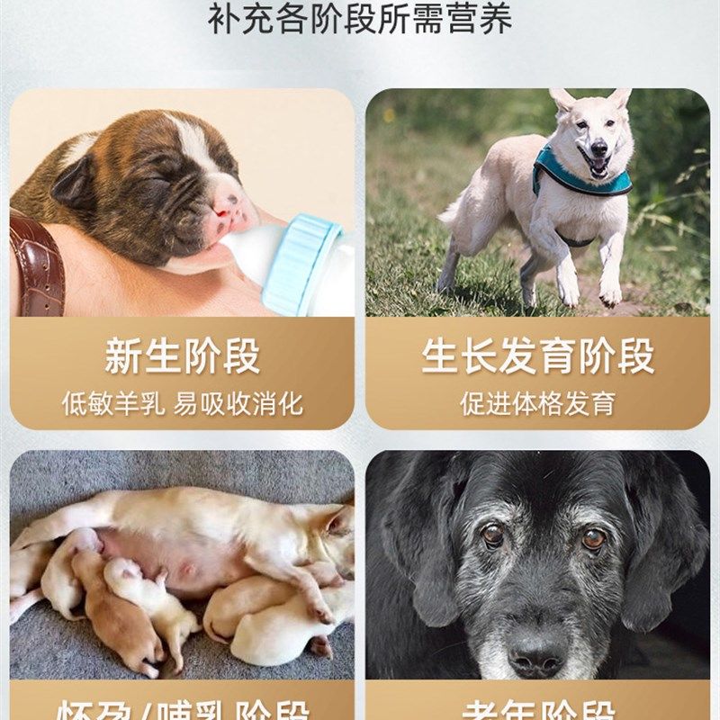 谷登羊奶粉狗狗宠物小狗幼犬补钙柯基泰迪金毛新生怀孕成犬营养品,宠物/宠物食品及用品,狗奶粉,淘宝优惠券,粉丝福利购,淘宝优惠卷