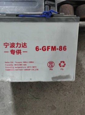 宁波力达6-GFM-86叉车电池电瓶CBD15-170H小金刚配件电池