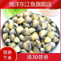 新款 新鲜淡水蚬子肉去壳无沙贝类制品溱湖特产蛤蜊肉黄蚬子贝壳