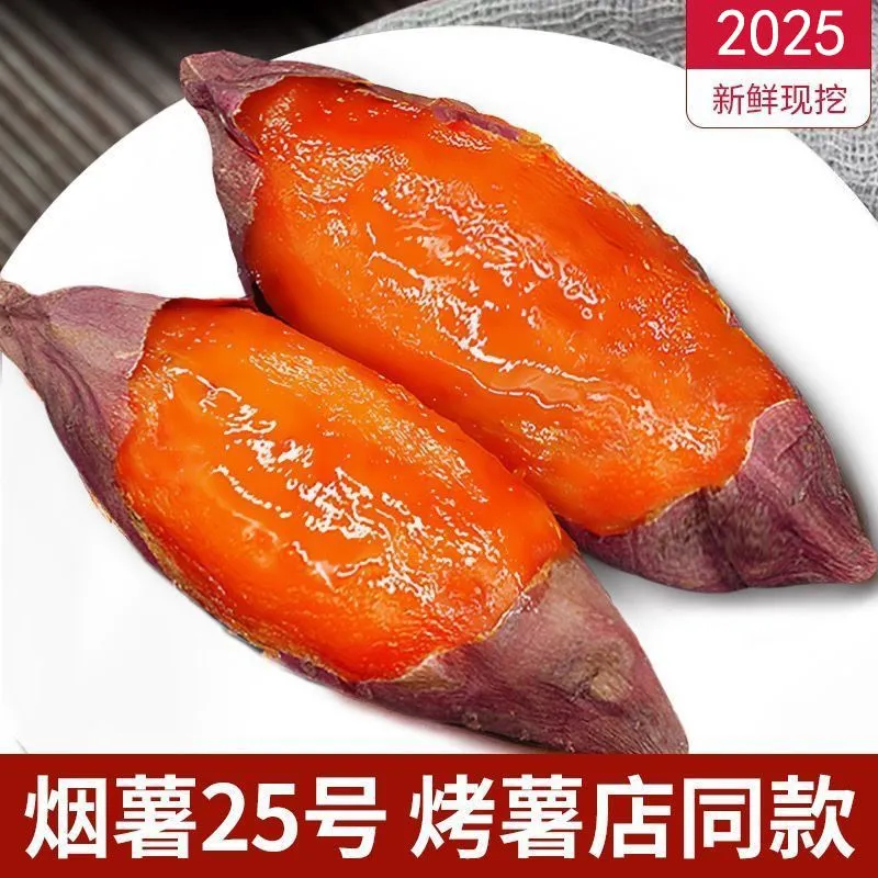 正宗山东烟薯25号农家沙地自种蜜薯当季新鲜现挖烟薯软糯香甜红心