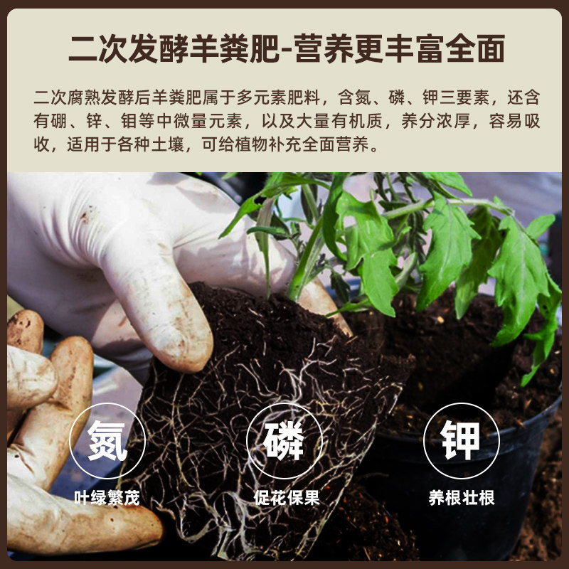 纯羊粪发酵有机肥通用型底肥种花肥料家用养花种菜农家肥有机羊粪,鲜花速递/花卉仿真/绿植园艺,家庭园艺肥料,淘宝优惠券,粉丝福利购,淘宝优惠卷