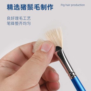华虹hwahong205猪鬃扇形笔油画笔水粉笔大中小套装美术生专用单支