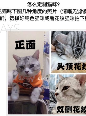 英短美短布偶猫咪可爱宠物定制香薰车载室内宠物纪念手办摆件礼物