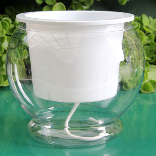 全新塑料透明水培瓶富贵竹绿萝红掌办公室绿植容器红掌花盆高透