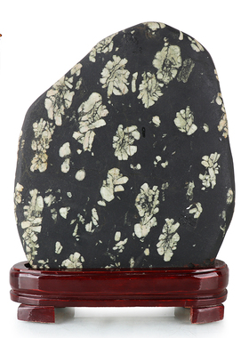 天御阁牡丹石原石摆件天然奇石观赏石头客厅办公室装饰品实木底座