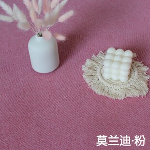 2021新款 客厅卧室房间少女粉蓝色整铺大面积地毯可裁剪床边全铺厚