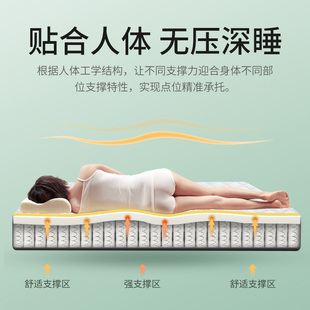 金橡树 席梦思床垫1.5米护脊独立弹簧泰国天然乳胶1.8m床心选