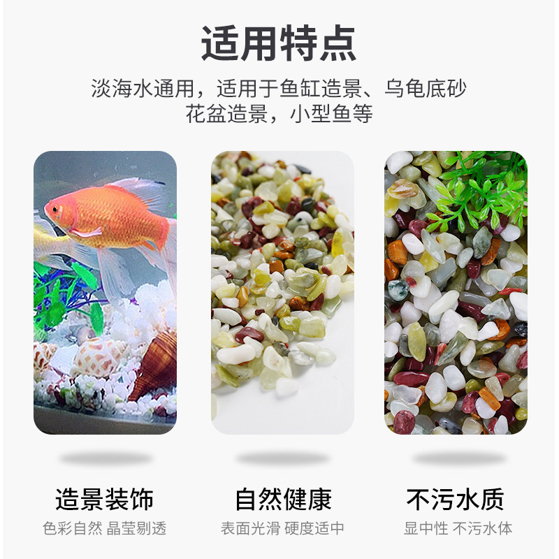 五彩石鱼缸底砂天然造景石盆栽铺底多肉植物铺面雨花石装饰小石头,宠物/宠物食品及用品,造景/装饰,淘宝优惠券,粉丝福利购,淘宝优惠卷