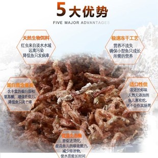 干鱼虫赤虫冻干红虫干七彩鱼饲料燕鱼孔雀小型热带鱼幼鱼鱼食包邮