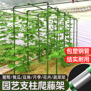 爬藤架葡萄黄瓜豆角架种菜花支架庭院园艺花卉植物支撑杆西红柿架