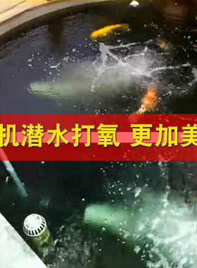 大型鱼塘鱼池推水造浪泵大功率增氧机充氧机潜水泵曝气机涌浪水炮