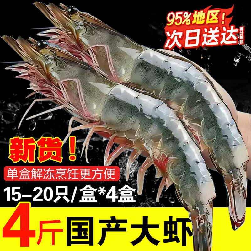 新鲜青岛大虾子国产虾低脂白虾鲜活冷冻冰鲜水冻虾批发大虾海鲜