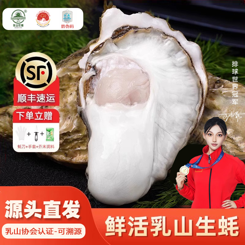 百鲜洽乳山生蚝鲜活特大牡蛎带壳海蛎子新鲜海鲜水产贝类聚会烧烤