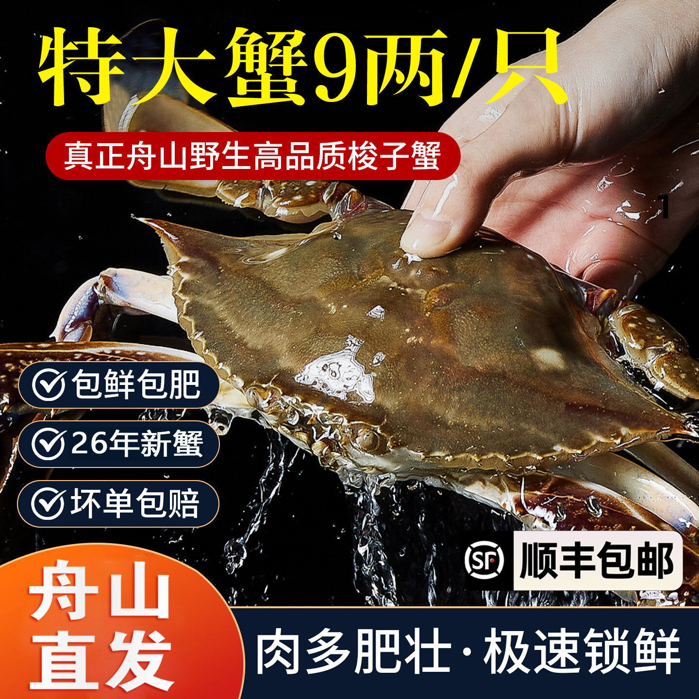 舟山直发梭子蟹公蟹母蟹活冻海鲜