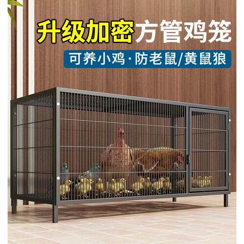 鸡笼子家用大号兔笼养殖鸭鹅鸽笼室外铁丝网不锈钢猫自动滚蛋鸡笼